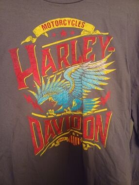 Harley-Davidson Gray Tee with Red & Blue Eagle Graphic